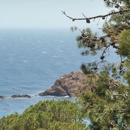 2 Bedroom Amazing Apartment In Tossa De Mar Exterior foto